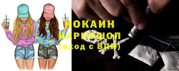 индика Аркадак
