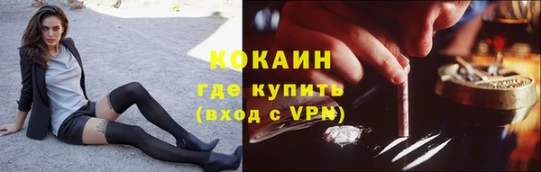 индика Аркадак