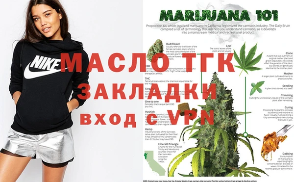 индика Аркадак