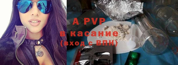 индика Аркадак